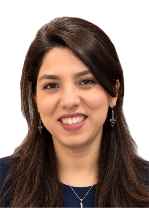 Bahareh Bahmani